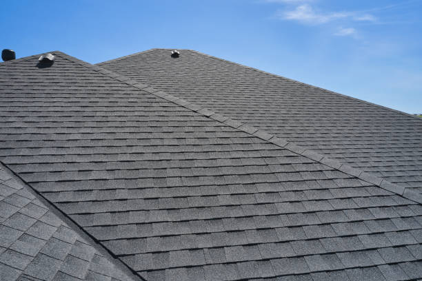 Best Gutter Replacement  in Maple Lake, MN